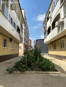 Квартира-студия: Российский, улица Куликова Поля, 33 (26.6 м)