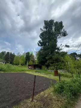 Участок в Томская область, Томский район, Богашевское с/пос, д. ...