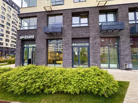 Помещение свободного назначения в Москва Десеновское поселение, ул. ...