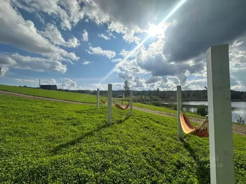 Участок в Ленинградская область, Приозерский район, Сосновское с/пос, ...