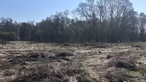 Участок в Московская область, Клин городской округ, д. Орлово ул. ...