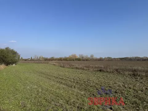 Участок в Краснодарский край, Крымск  (2200.0 сот.)