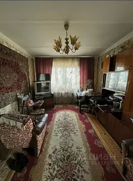 2-к кв. Нижегородская область, Выкса Южный мкр, 4 (55.2 м)