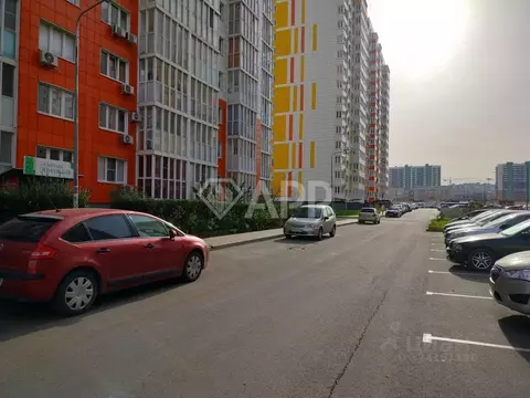 Помещение свободного назначения в Краснодарский край, Анапа ул. ...