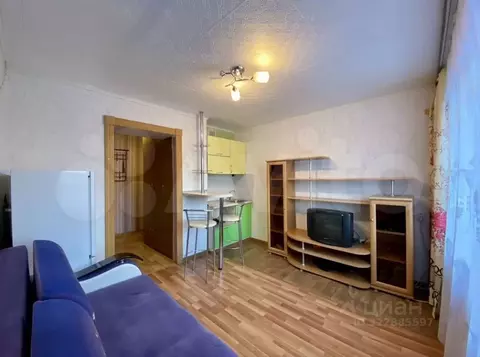 Студия Чувашия, Чебоксары ул. Декабристов, 14к1 (24.0 м)