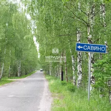 Участок в Нижегородская область, муниципальный округ Бор, деревня ...