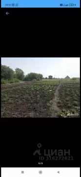 Участок в Белгородская область, Белгородский район, Бессоновское ...