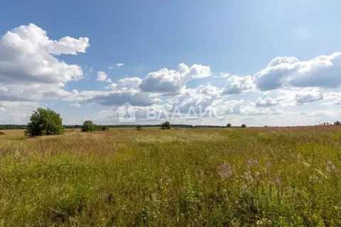 Участок в Владимирская область, Суздальский район, Новоалександровское ...
