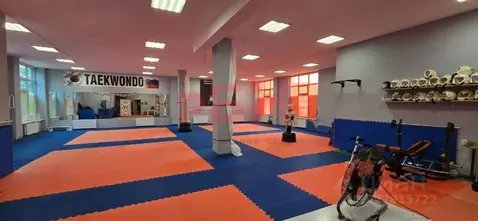 Помещение свободного назначения в Воронежская область, Воронеж ул. ...