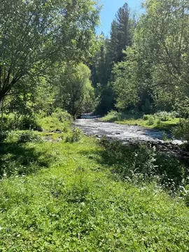 Участок в Алтай, Чемальский район, Элекмонарское с/пос, пос. Каракол  ...