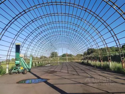 Склад в Оренбургская область, Бузулукский район, с. Сухоречка ...