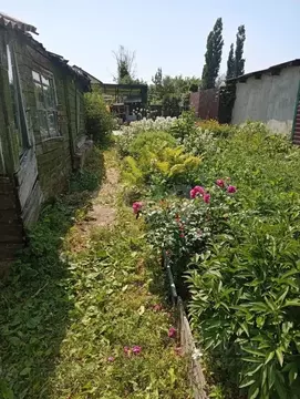 Дом в Саратовская область, Балашов Северная ул., 85 (39 м)