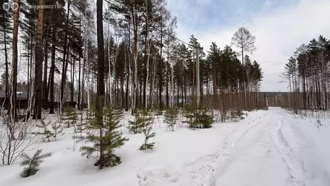 Участок в Иркутский муниципальный округ, СНТ Южное, 7 (10 м)