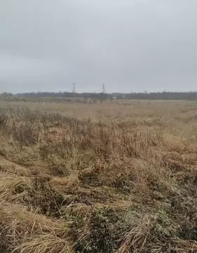 Участок в Ленинградская область, Гатчинский муниципальный округ, д. ...