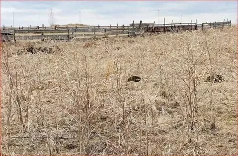 Участок в Башкортостан, Дуванский район, Ариевский сельсовет, д. ...