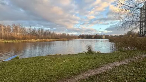 1-к кв. Санкт-Петербург пос. Металлострой, Центральная ул., 19 (28.3 ...