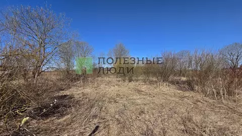 Участок в Ленинградская область, Гатчинский муниципальный округ, Тайцы ...