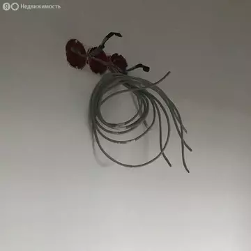 3-комнатная квартира: Ставрополь, Шпаковская улица, 76А/3 (91 м)