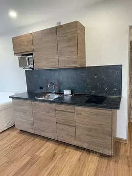 Студия Новосибирская область, Новосибирск ул. Гаранина, 41 (27.0 м)