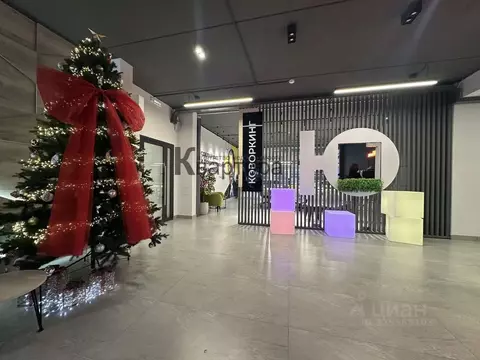 Студия Смоленская область, Смоленск проезд Маршала Конева, 32 (20.0 м)