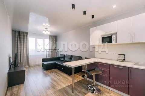 1-к кв. Новосибирская область, Новосибирск Покатная ул., 130/1 (27.5 ...