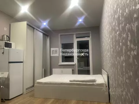 Студия Санкт-Петербург Октябрьская наб., 44 (22.2 м)