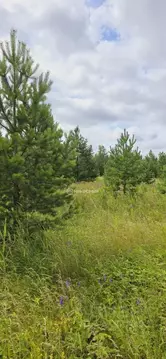 Участок в Челябинская область, Аргаяшский муниципальный округ, д. ...