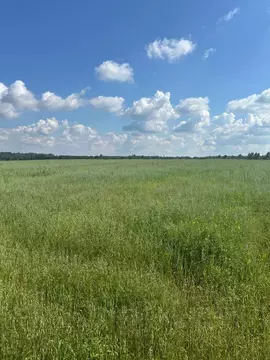 Участок в Тверская область, Конаковский муниципальный округ, с. ...