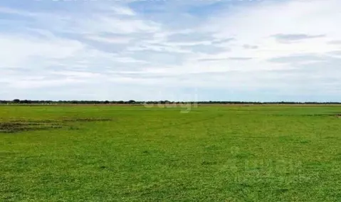 Участок в Свердловская область, Белоярский муниципальный округ, д. ...