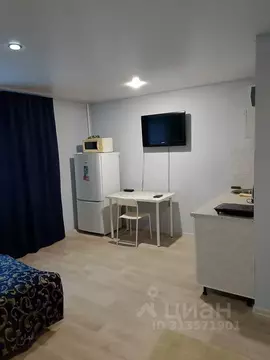 Студия Самарская область, Самара Бобруйская ул., 116 (25.0 м)