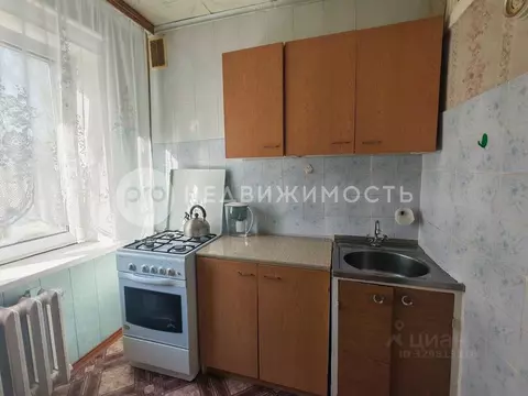 1-к кв. Рязанская область, Рыбновский муниципальный округ, д. ...