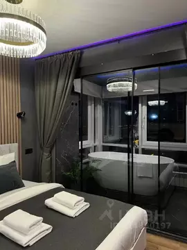 Студия Иркутская область, Иркутск ул. Якоби, 16 (30.0 м)