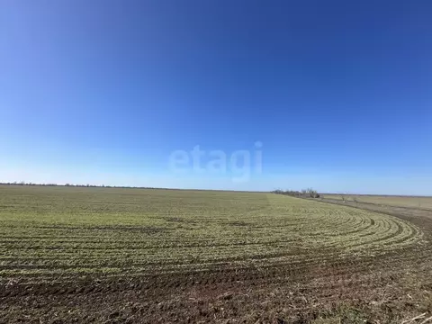 Участок в Крым, Сакский район, Штормовское с/пос, с. Хуторок  (879.54 ...