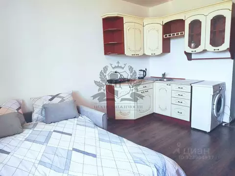 Студия Санкт-Петербург пос. Шушары, просп. Старорусский, 13к2 (25.0 м)