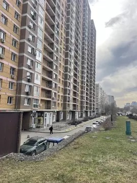Помещение свободного назначения в Москва Озерная ул., 9 (32 м)