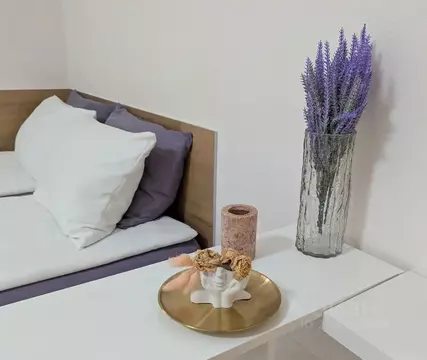 Студия Тюменская область, Тюмень ул. 50 лет Октября, 4 (32.0 м)