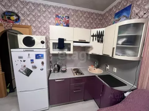 Студия Санкт-Петербург Рыбацкий просп., 17к1 (26.2 м)