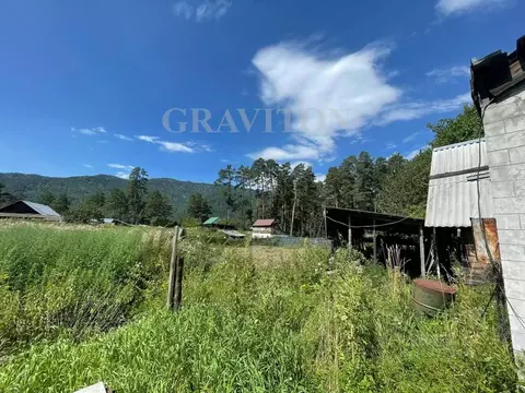 Участок в Алтай, Чемальский район, пос. Усть-Сема ул. Дорожников (17.0 ...