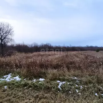 Участок в Свердловская область, Слободо-Туринский район, ...