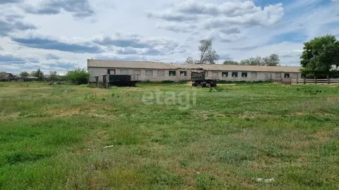 Помещение свободного назначения в Волгоградская область, Даниловка рп, ...