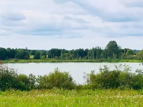 Участок в Ленинградская область, Лужский район, Дзержинское с/пос, д. ...