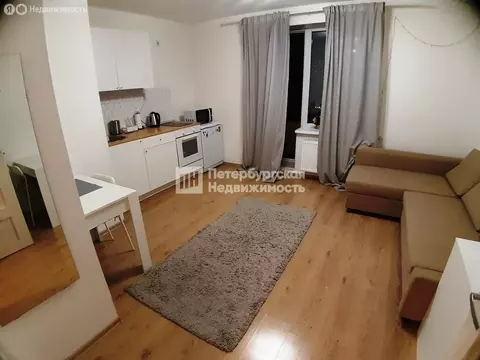 Квартира-студия: Санкт-Петербург, Русановская улица, 18к3 (24.2 м)