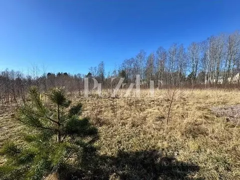 Участок в Санкт-Петербург пос. Ушково, Литорино кп,  (24.1 сот.)