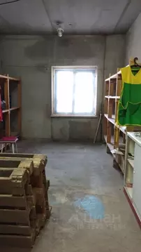 Помещение свободного назначения в Челябинская область, Нагайбакский ...