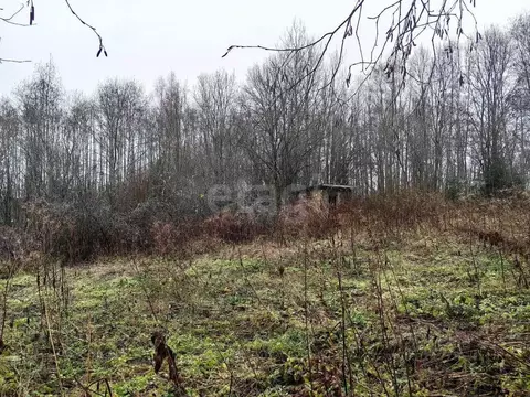 Участок в Ленинградская область, Волхов Виковщина мкр,  (10.0 сот.)