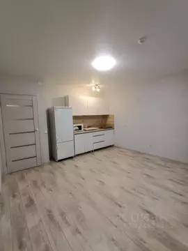 Студия Пермский край, д. Кондратово ул. Артемьевская, 4 (27.0 м)