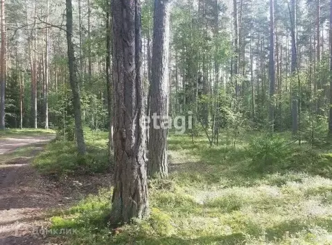 Участок в Забайкальский край, Читинский район, Атамановка пгт ул. ...