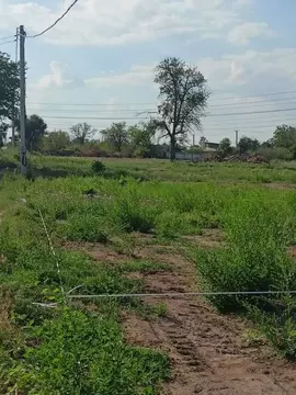 Участок в Волгоградская область, Волгоград Мичуринец СНТ,  (5.0 сот.)