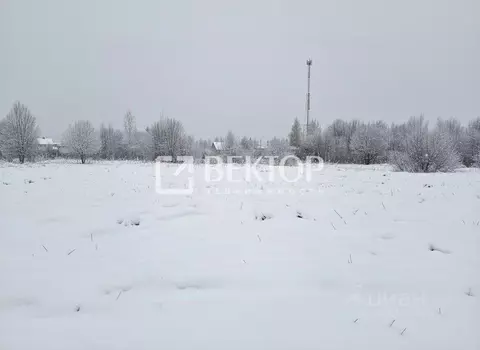 Участок в Ивановская область, Ивановский муниципальный округ, д. ...