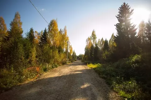 Участок в Московская область, Дмитровский муниципальный округ, ...